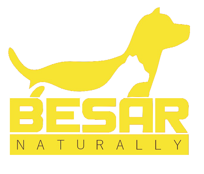 Производство сухих кормов для собак и кошек «Besar»
